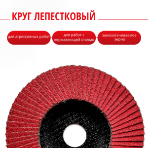 Круг лепестковый торцевой КЛТ2 125х22,23 керамика P40 CARBODISK