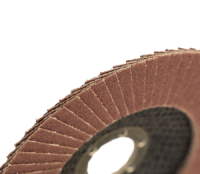 КЛТ1 125х22,23 XS549 P150