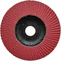 Круги зачистные лепестковые торцевые КЛТ2 125х22,23 XD599 P80